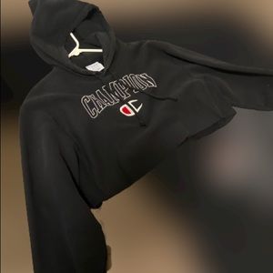 Champion cropped hoodie